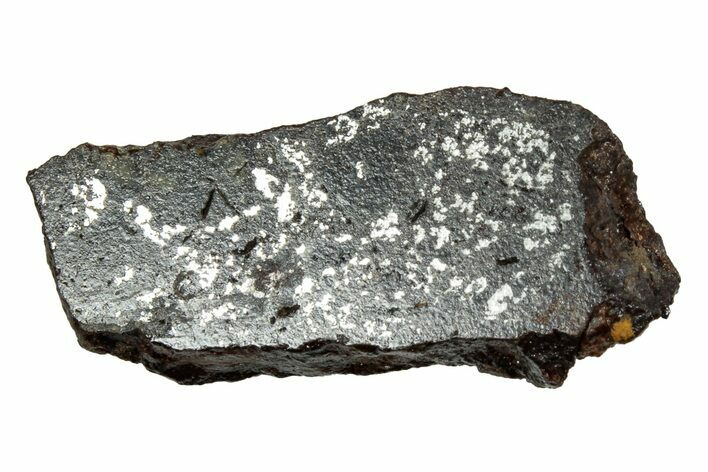 Polished Stony-Iron Mesosiderite Meteorite ( g) - Chile #242901